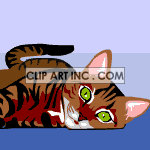 cat-034 animation. Commercial use animation # 119217
