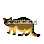 cat-038 animation. Commercial use animation # 119221