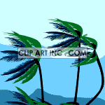 Animated blowing palmtrees during a tropical storm clipart.