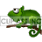 gecko emoticon clipart. Royalty-free image # 125158