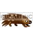   porcupines porcupine  animals_porcupine_079.gif Animations Mini Animals 