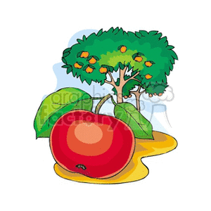 Single Apple with Leaf in an Apple Orchard clipart. Royalty-free image # 128263