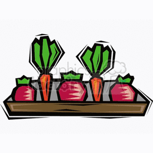 Brown Tray with Fresh Vegitables Carrots and Beets clipart.