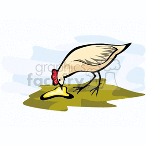  farm farms rooster roosters bird birds chicken chickens  rooster2.gif Clip Art Agriculture 