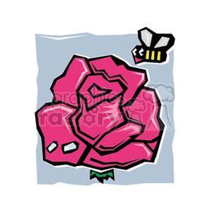 Pink rose with bug flying around it