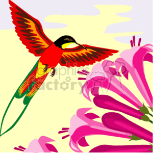 This image depicts a hummingbird hovering next to a large pink flower and sucking out the nectar