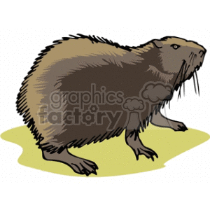 Groundhog clipart. Commercial use image # 128893