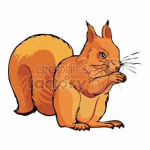 Squirrel clipart. Commercial use image # 128922