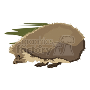   hedgehog animal brown digging snout hedgehogs Porcupine Porcupines Clip Art Animals 