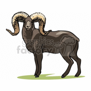 ram clipart. Royalty-free image # 129026