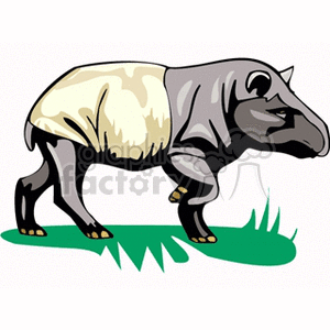 tapir clipart. Commercial use image # 129048