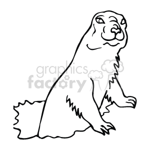 groundhog groundhogs   Anml121_bw Clip Art Animals 