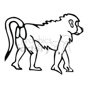 The clipart image shows a baboon, which are a type of monkey. It is walking away to the right of the image, on all fours. 