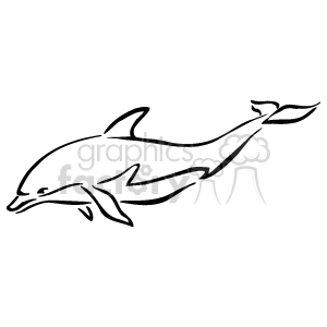 black and white dolphin clipart. Commercial use image # 129392