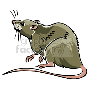 The clipart image depicts a cartoonish illustration of a brown rat standing on its hind legs with its arms raised. 