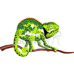 Chameleon sitting on a branch clipart. Royalty-free image # 129546