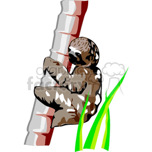 sloth in a tree clipart. Commercial use image # 129556