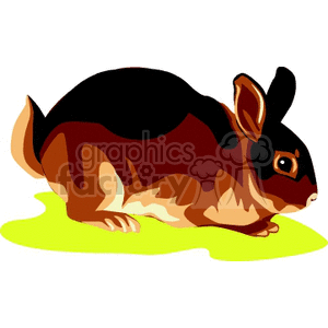 Brown and tan bunny rabbit clipart. Royalty-free image # 129558