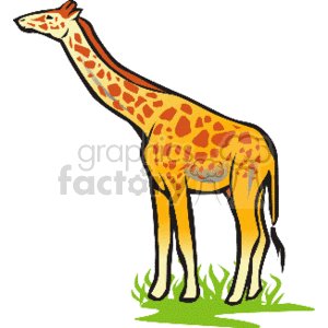 Large giraffe standing in grass clipart. Commercial use image # 129590