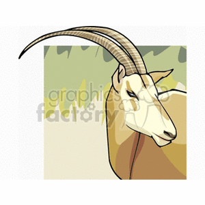 African Addax in field clipart.