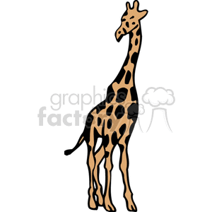 Forward facing giraffe clipart. Royalty-free image # 129685