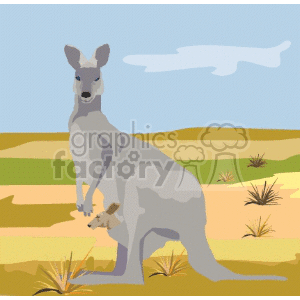 Mother Kangaroo with baby roo in pouch clipart.