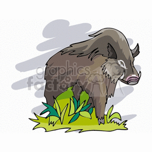 Large hairy wild boar clipart. Royalty-free image # 129756