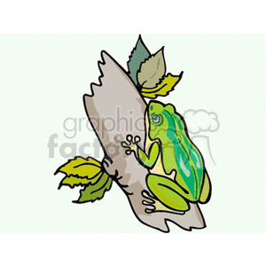 Large green frog climbing up a branch clipart. Commercial use image # 129797