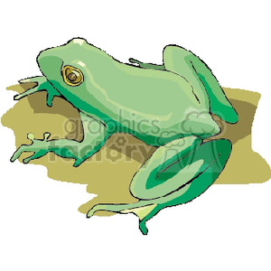 Full body profile of tree frog clipart. Royalty-free image # 129812