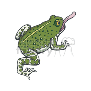 Toad with outstretched tongue clipart.