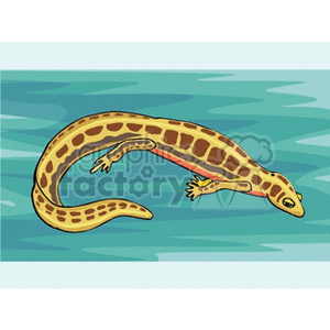 Yellow salamander with tan markings swimming clipart.