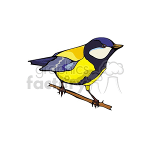 Golden finch perched on branch clipart. Commercial use image # 130274
