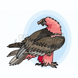 Pink and brown hawk clipart.