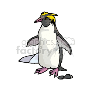 Crested penguin standing among rocks clipart. Commercial use image # 130575