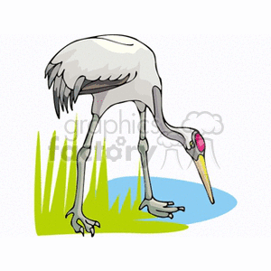 Heron walking through marsh clipart. Commercial use image # 130645