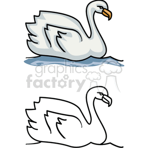 Two swimming swans- one in color, one black and white clipart.