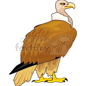 Side profile of a vulture clipart. Commercial use image # 130708