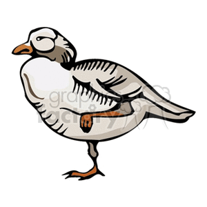 White duck standing on one leg clipart. Commercial use image # 130723