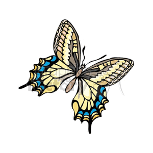 blue and yellow winged butterfly Clip Art