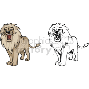 Hungry looking male lion showing his fangs clipart.
