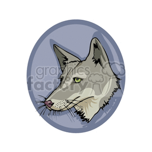   dingo dingos dog dogs animals canine canines wolf wolves coyote coyotes  wolf.gif Clip Art Animals Dogs 