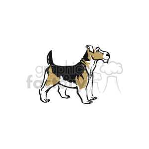 Animal_ss_c_003 clipart. Royalty-free image # 131989