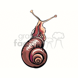 cochlea2 clipart. Royalty-free image # 132312