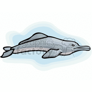riversdolphin clipart. Commercial use image # 132675