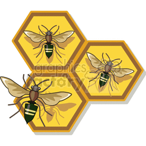 bee bees honeycomb honey  BAI0126.gif Clip Art Animals Insects wasp wasps hive