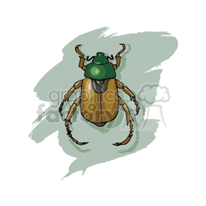   beatle beatles beetle beetles bug bugs  bug10.gif Clip Art Animals Insects 