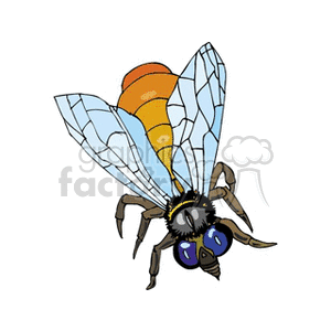   insect insects bug bugs fly flies  fly3.gif Clip Art Animals Insects 