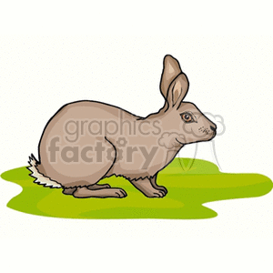 rabbit10 clipart. Commercial use image # 133330