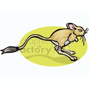   kangaroo rat rats rodent rodents animals mouse mice  jerboa3.gif Clip Art Animals Rodents 