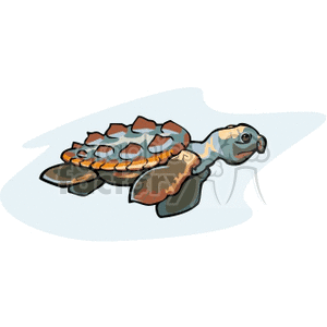 sea tortoise clipart. Commercial use image # 133775